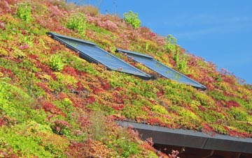 Pitstone living roof systems